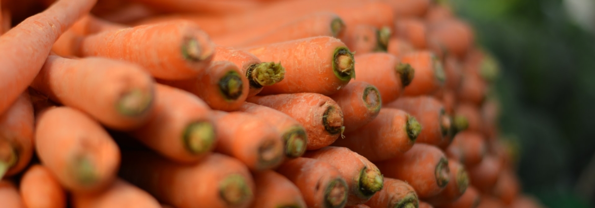 Pile of carrots