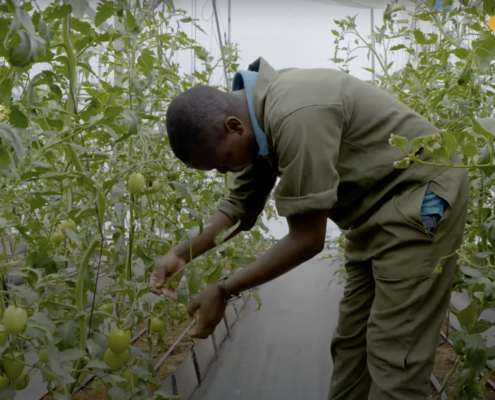 Gregory Kimani, African Food Fellowship fellow - City Shamba