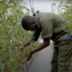 Gregory Kimani, African Food Fellowship fellow - City Shamba