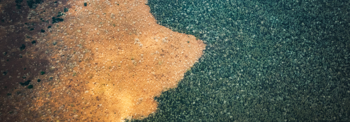 Environmental concept: deforestation. Human face eating the forest in Africa. View from the plane above Tanzania