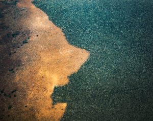 Environmental concept: deforestation. Human face eating the forest in Africa. View from the plane above Tanzania
